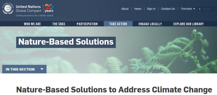 Businesses and Nature-based Solutions to Address Climate Change